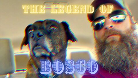 THE LEGEND OF BOSCO : A tribute to the best dog in the world.