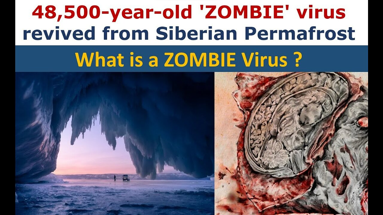 Climate Tracker: Scientists Revive 48,500-year-old ‘zombie Virus ...