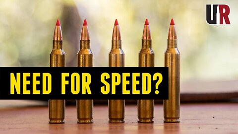 204 Ruger FAST Loads: Two Loads and Excellent Results!