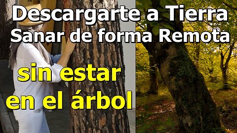 CÓMO DEJAR TU ADN EN UN ÁRBOL PARA DESCARGARTE A TIERRA DE FORMA REMOTA Y SANARTE