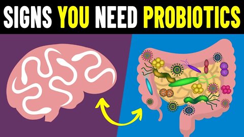 9 Signs You Need To Take Probiotics