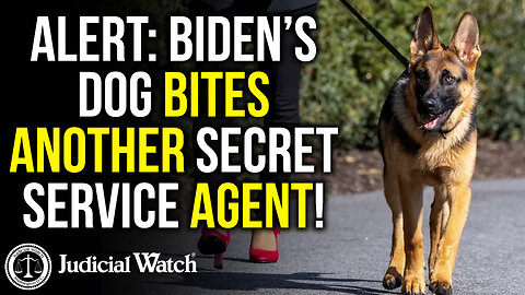 ALERT: Biden’s Dog Bites Another Secret Service Agent!
