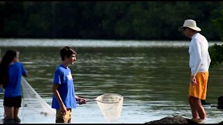 'A Day in the Life of the Indian River Lagoon'