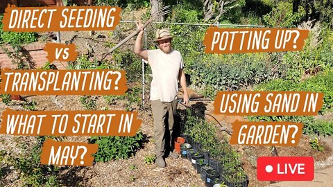 What to Start in May in Garden? Direct Seeding vs Transplanting?