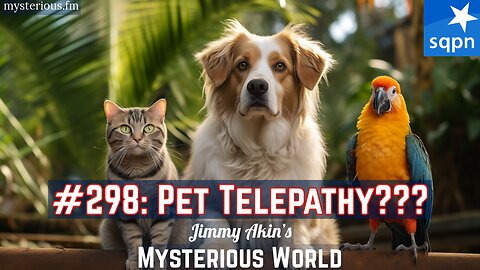 Pet Telepathy (Dogs, Cats, Parrots, Jaytee, N’Kisi, Sheldrake) - Jimmy Akin's Mysterious World