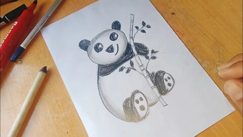 How to Draw a Panda - Easy Panda Drawing - Panda Drawing