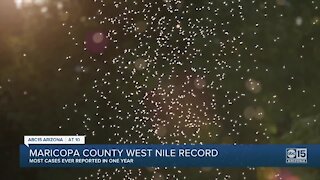 Data shows record number of West Nile cases in humans in Maricopa County