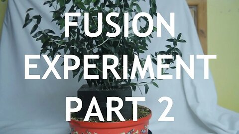 Bonsai Fusion 3D Print Experiment Part 2