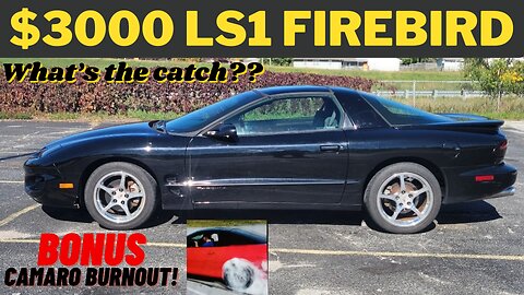 $3000 LS1 Firebird - What's WRONG with it??