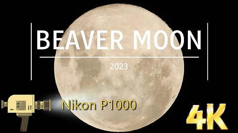 Full Moon in November 2023 4K Nikon P1000