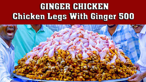 GINGER CHICKEN | 500 Chicken Legs With Ginger | Traditional Ginger Chicken Recipe Cooking in Village