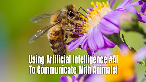 Using Artificial Intelligence #AI To Communicate With Animals!