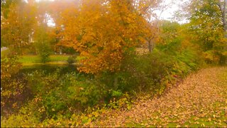 #October in #Maine. #Fall #autumn #leaves