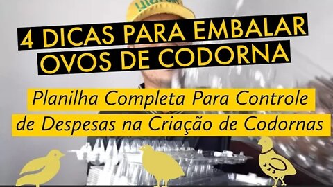 DICAS PARA EMBALAR OVOS DE CODORNA / CONTROLE SEUS GASTOS @Viver de codorna