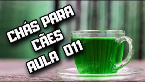 Chá de Equinácea para Cães: aula 011 | Dr. Edgard Gomes | Alimentação natural para Cães