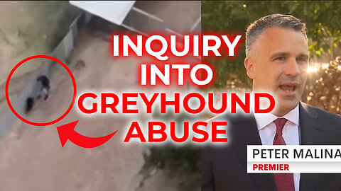 Greyhound ABUSE Video Sparks Inquiry - SA Greyhound Racing