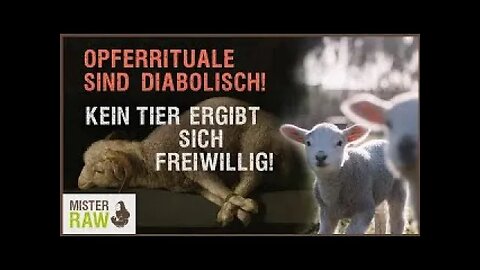 Opferrituale sind diabolisch! Kein Tier ergibt sich freiwillig!