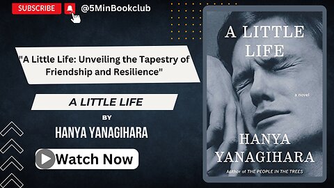 📚"A Little Life: Unveiling the Tapestry of Friendship and Resilience"📚