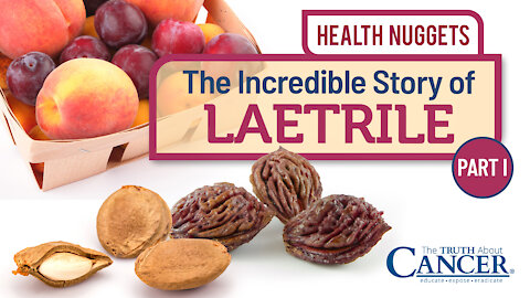 The Truth About Cancer Presents: Health Nuggets - The Incredible Story of Laetrile | Part I