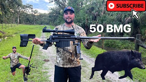 Wild hog VS 50 BMG. Hog hunting with a 50 CAL.