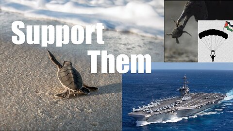 Baby Sea Turtles vs Hamas Frigate Bird Paratroopers on a Mexican Beach - Nature is Metal