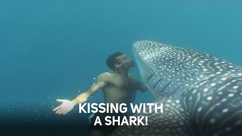 Breathtaking human-animal underwater encounters