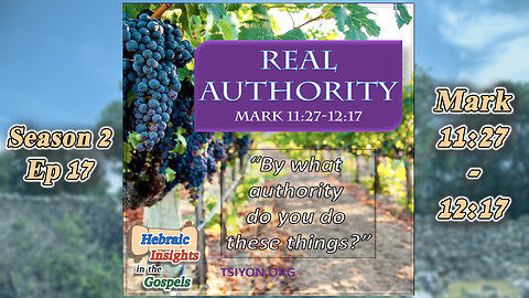 Mark 11:27-12:67 - Real Authority - HIG S2 Episode 17