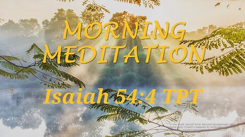 Morning Meditation -- Isaiah 54 verse 4 TPT