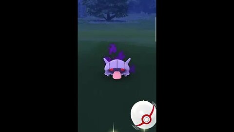 Pokémon GO-Shadow Shellder