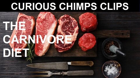 Why The Carnivore Diet Forces Us To Rethink Nutrition | Dr. Patrick Owen