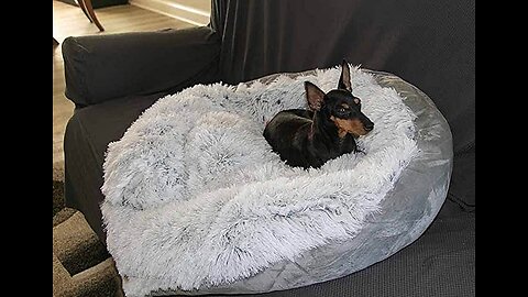 JOEJOY Calming Dog Bed for Small Dogs, Anti-Anxiety Round Donut Dog Cuddler Bed, Warming Soft P...