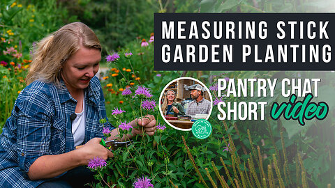 Using a Measuring Stick for Garden Planting | Pantry Chat Podcast SHORT