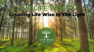 Creating Life Wise In The Light