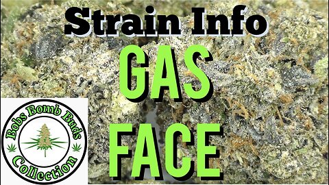 Gas Face Marijuana Strain By Seed Junky Genetics & From Chronic Farms Dispensary
