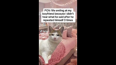 Funny cat boyfriend and girlfriend valentine meme