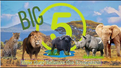 Africa's Big 5: How They Balance the Planet