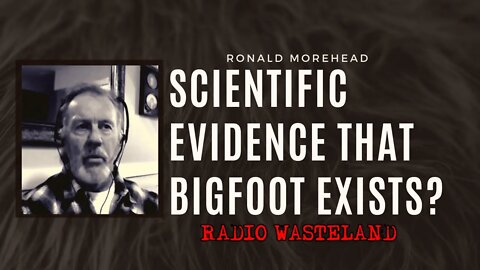 Is there any scientific evidence that Bigfoot exists?