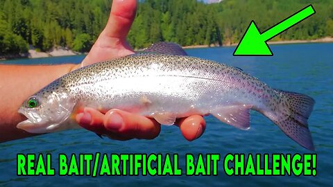 Trout Fishing Challenge! (Testing New Baits)