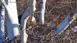 USS Eagles - Mom takes fish from Dad