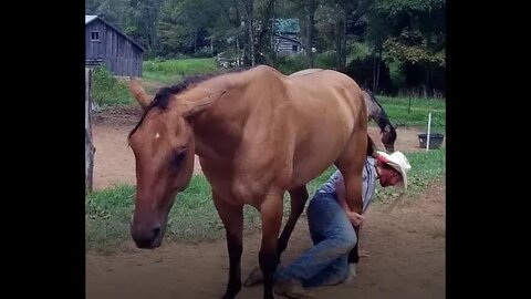 "ZERO" Horse Experience Luke Rides Bareback and Bridle less on Allie the Wonder Horse