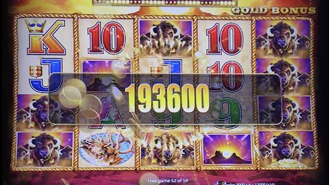 MASSIVE $5,800.00 BONUS ROUND BUFFALO GOLD #buffalo #slotman #win #wow #jackpot #youtube