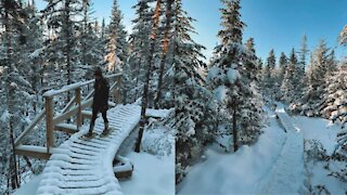 Cette passerelle près de Québec t'en mettra plein la vue avec son décor enchanteur