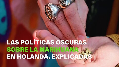 ¿Por qué lucha un activista de la marihuana en Holanda?