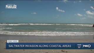 Invading salt water concerns