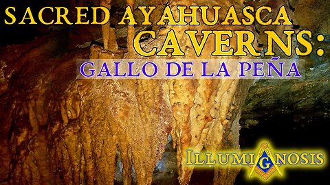 The Sacred Ayahuasca Caverns, Carvernas Gallos de la Pena