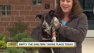 Empty the Shelters Adoption Event