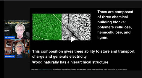 Dr. Merritt and Celeste Solum on Geoengineering, EMF and the War on Trees