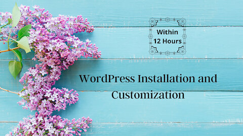 I will install WordPress, set up a theme, do customization within 12 Hours.