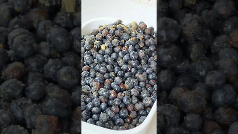 Homemade Double Blueberry Crisp