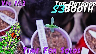 The Outdoor Booth S3 Ep. 3 | Veg Weeks 1 & 2 | Time For Solos